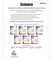 Spectrum Grade 7 Science Workbook, Middle School Books Covering Natural, Earth, Life Sciences, and More With Scientific Research Activities, Classroom or Homeschool Curriculum